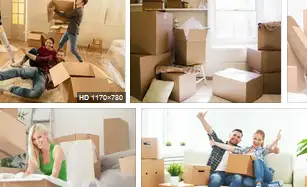 House Moves / Student Moves